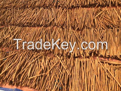 Wholesale Cinnamon Cinnamomum Broken Split Cigarette Cassia Verra Stick Ms.Lucy +84 929 397 651