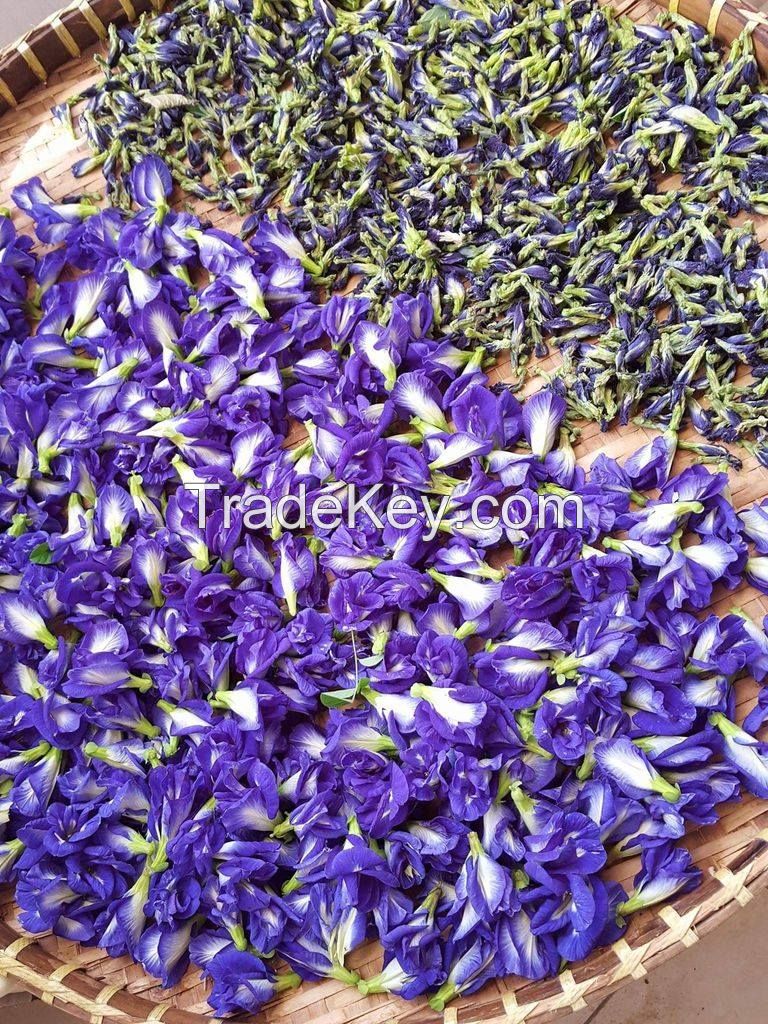 Dried Blue Butterfly Pea Powder Ms.Lucy +84 929 397 651