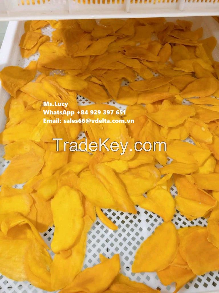 Soft Dried Mango Fruit