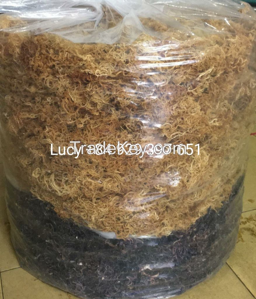 Dried Sea Moss/ Irish Moss/ Eucheuma Cottonii for Export