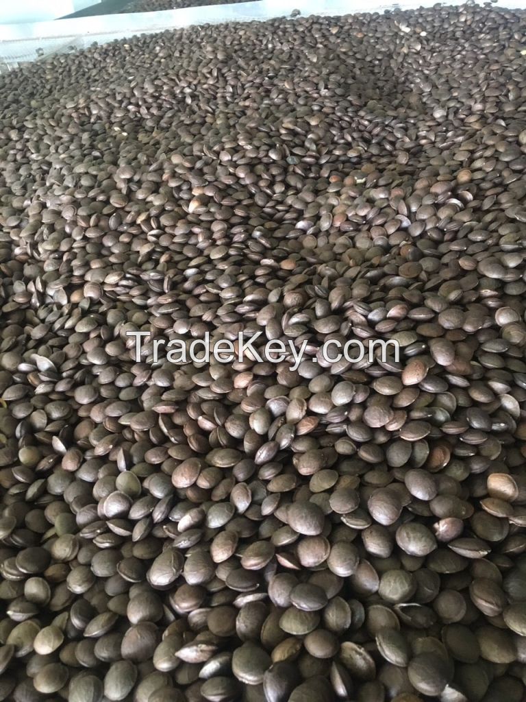 Sacha Inchi / Inca Inchi/ Peanut Inca Seeds Oil Powder High Quality from Vietnam Ms.Lucy +84 929 397 651