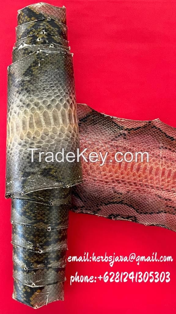 Snake leather