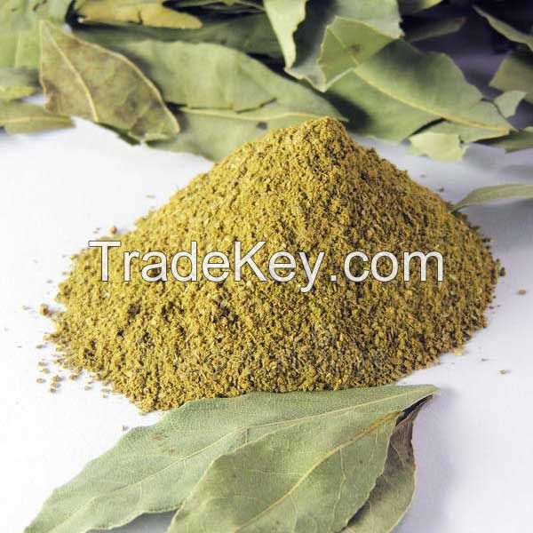 Bay Leaves Powder