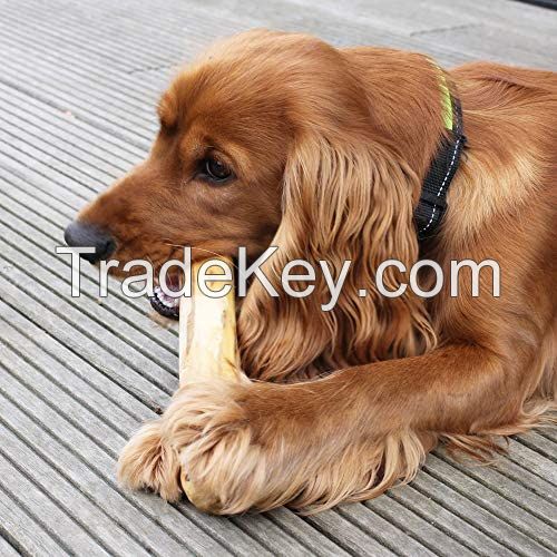 Pet Product / Dog Chewing Stick / Chewing Bone Wood Snack Treat / Chewable Coffee Tree Wood