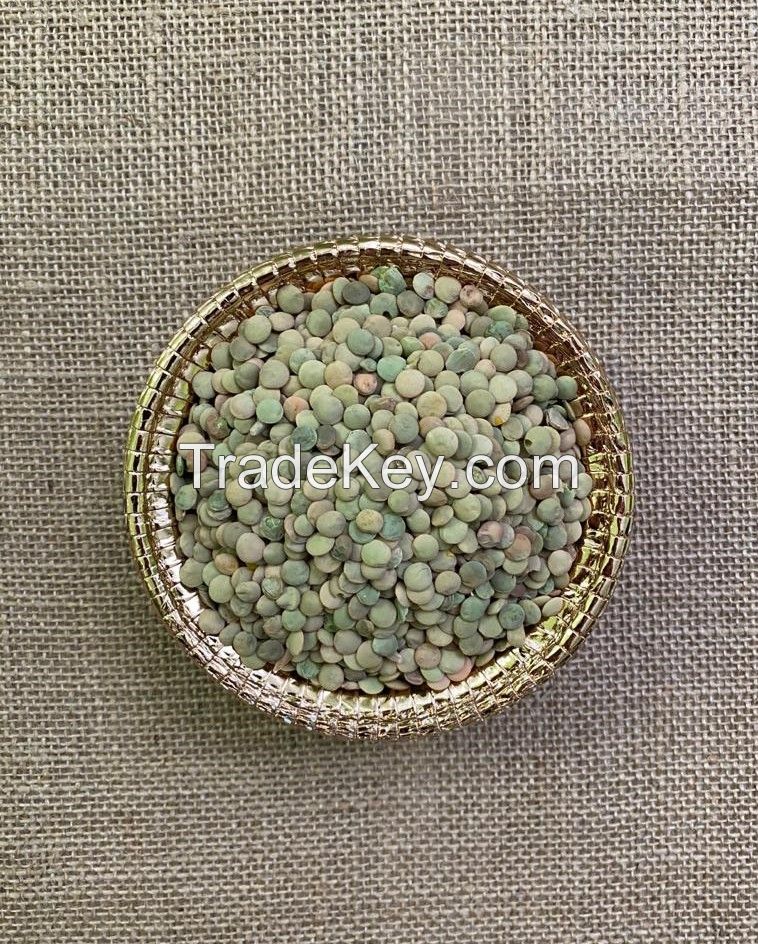 Green Lentils 