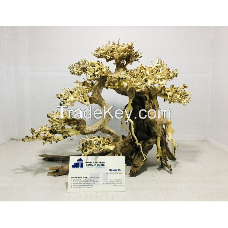 Best selling bonsai driftwood for betta fish tank decoration 