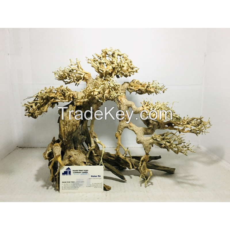 Hot items aquarium bonsai driftwood for wholesale at a low cost 