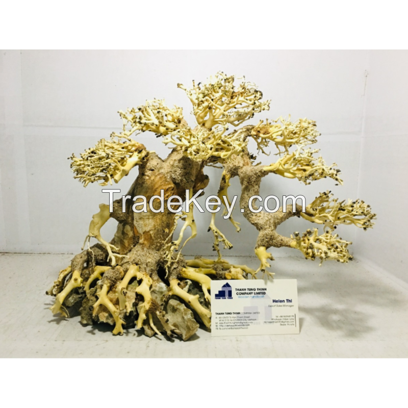 Exporting aquarium bonsai driftwood in bulk at a low cost 