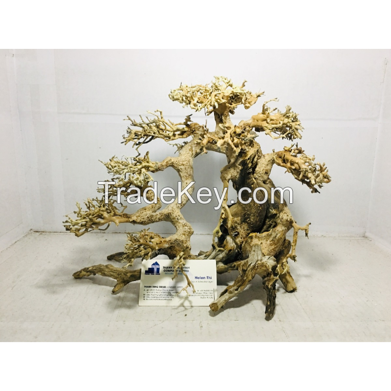 Hot items aquarium bonsai driftwood for wholesale at a low cost 