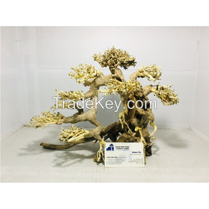 Best selling bonsai driftwood for betta fish tank decoration 