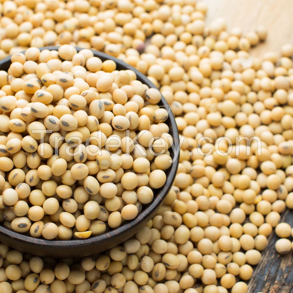 Dried Soybeans