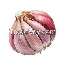 Garlic Clove