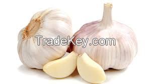 Garlic Clove