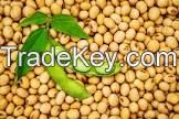 Soybeans