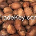 Bitter Kola Nuts