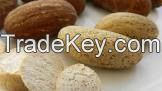 Bitter Kola Nuts