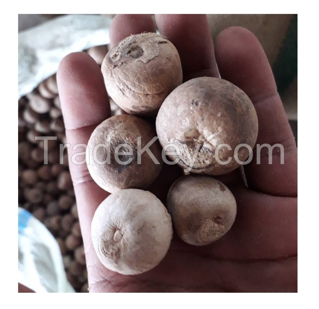 Whole Betel Nut competitive price