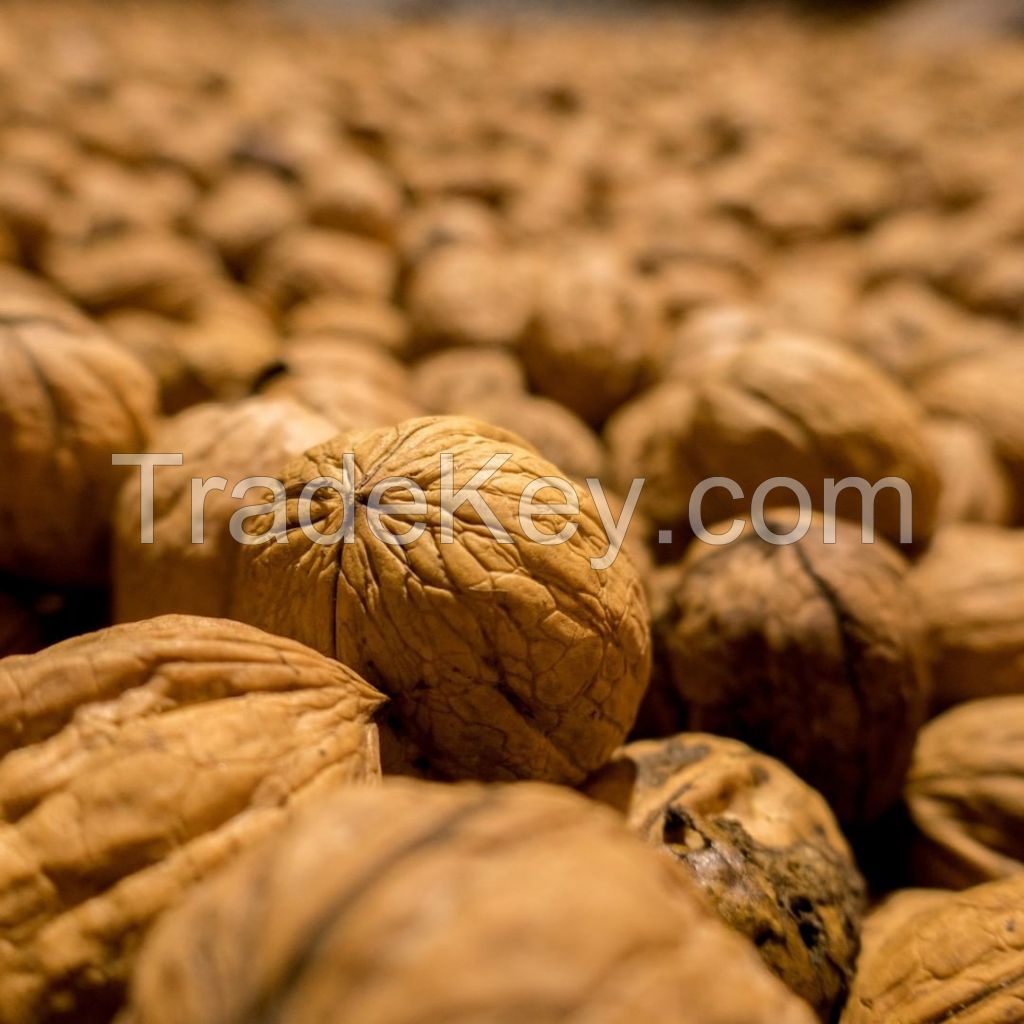 Organic Walnuts Wholesale Shelled with High Quality Walnuts Chandler Shelled Extra Light Halves Walnuts