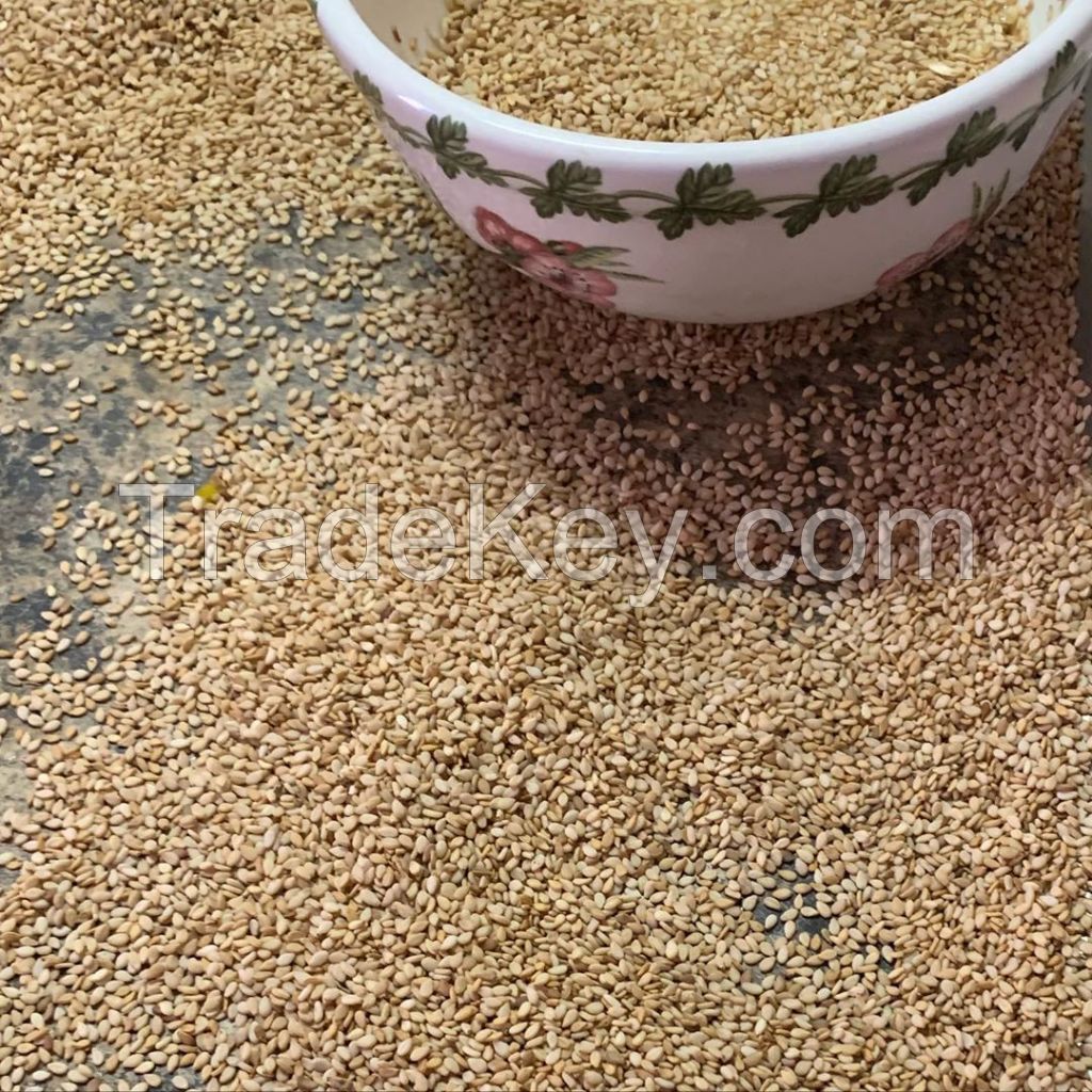 Hot selling humera wollega natural ethiopian white sesame seed