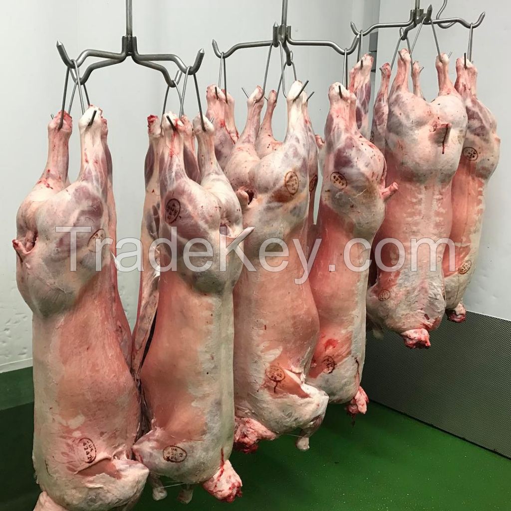 HALAL FRESH / FROZEN GOAT / LAMB / SHEEP MEAT / CARCASS