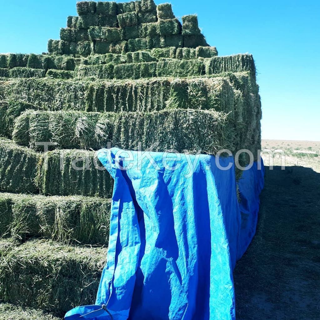 Alfafa Hay for Animal Feeding Stuff Alfalfa,hay/alfalfa hay pellets