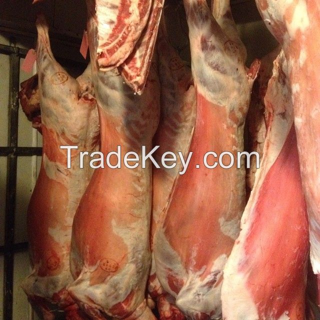 HALAL FRESH / FROZEN GOAT / LAMB / SHEEP MEAT / CARCASS