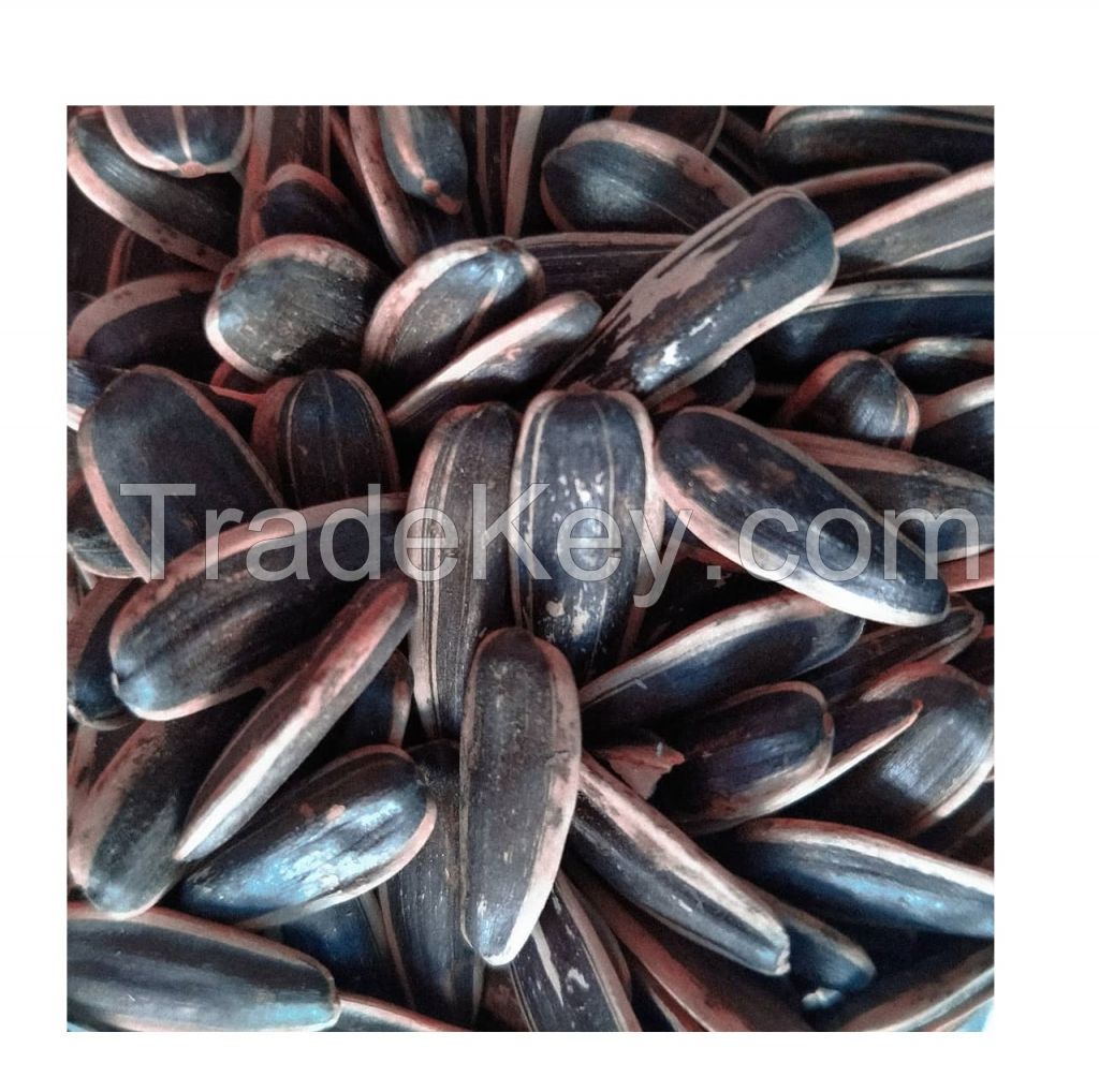 Black Sunflower Seed Kernels Supplier Long Shape 99.9% Min 10% Max Premium Grade from ZA Dried Raw COMMON Cultivation