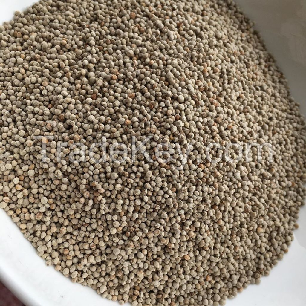 High Quality Perilla Seeds For Sale