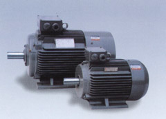 Y2 series motor(IEC)