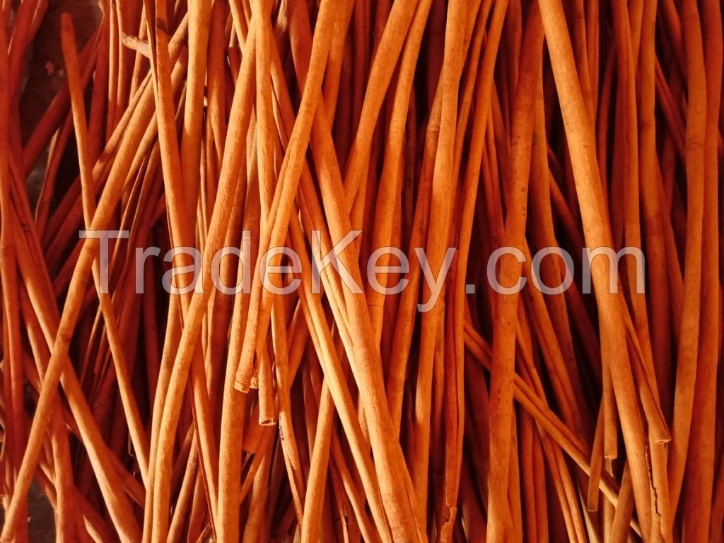 VAA Export Quality Cinnamon / Cassia VAA