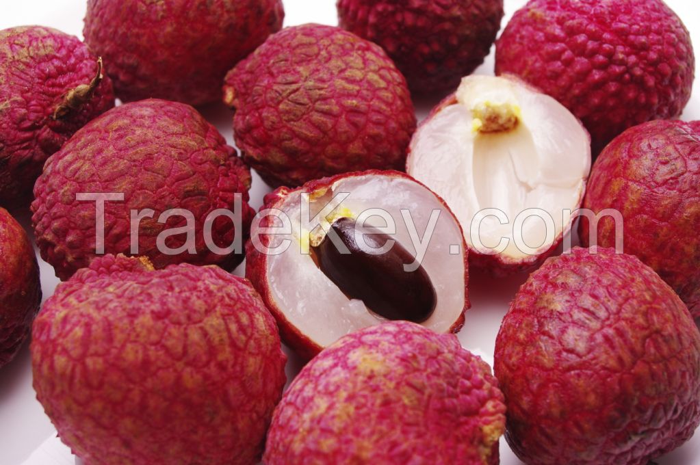 Best Price Premium Lychee//Litchi//Lichee For Export in Vietnam