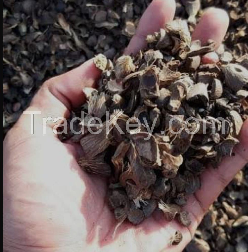 palm kernel shell