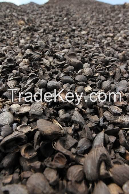 palm kernel shell