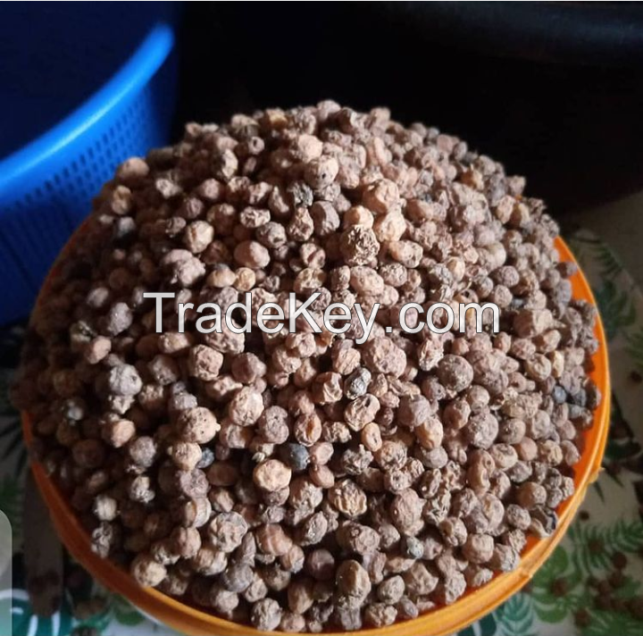 Tiger Nuts