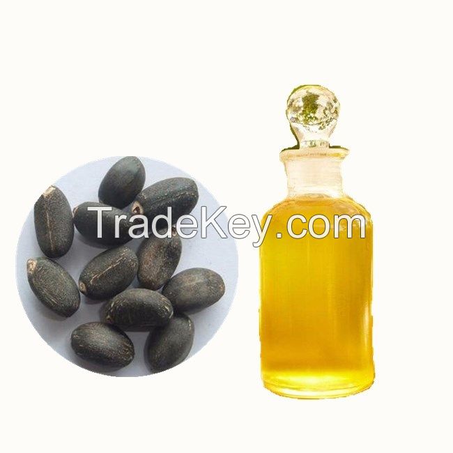 Jatropha Oil