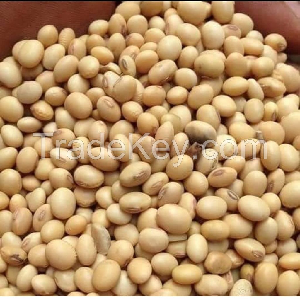 SOYA BEANS