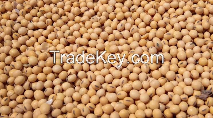 Soya beans