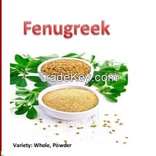 Fenugreek