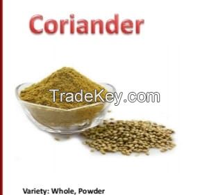 Coriander