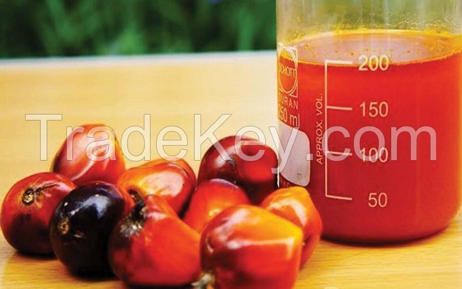 Palm Oil