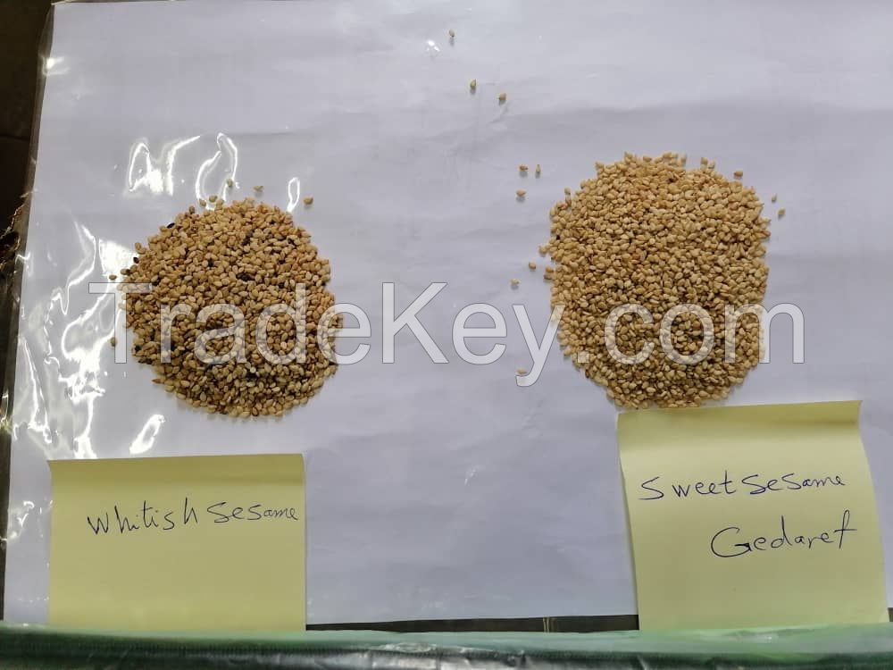 White Hulled Sesame Seeds