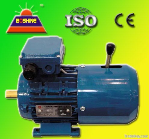 Y AC IEC Induction Electrical Motor