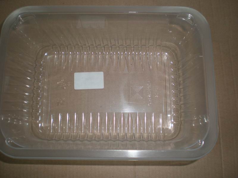 blister tray