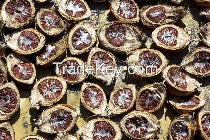 Betel nut