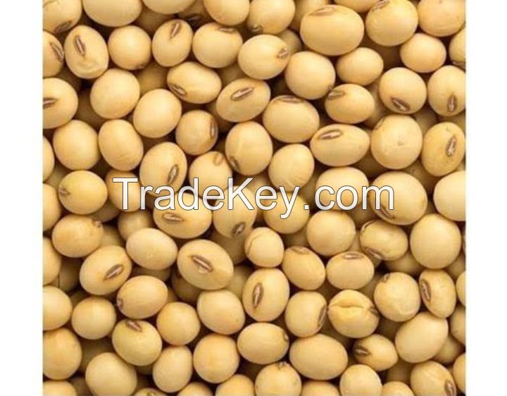 Soybean