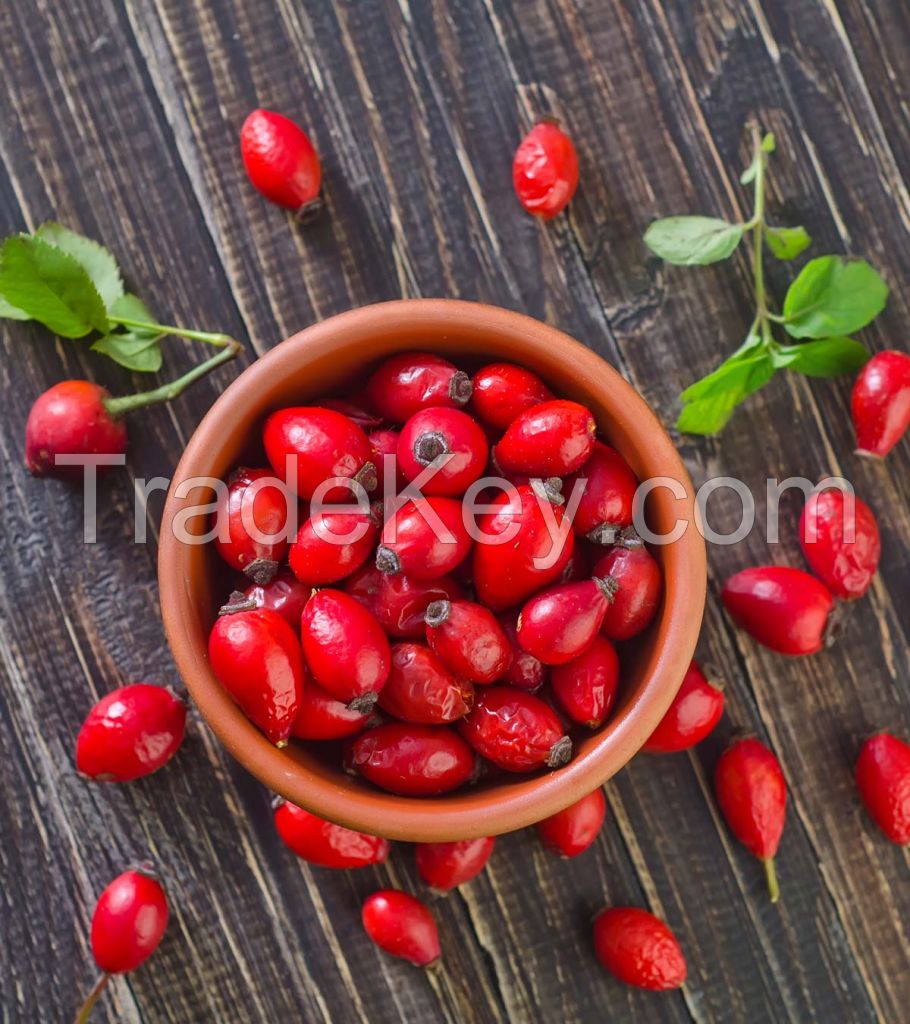 Rosehip Fruit 