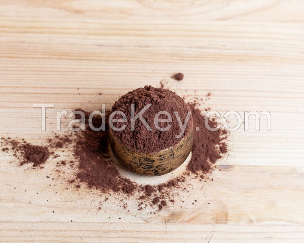 Elderberry Dry Extract Powder, 10:1