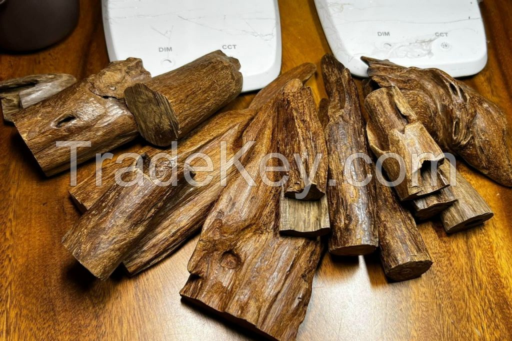 agarwood indonesia