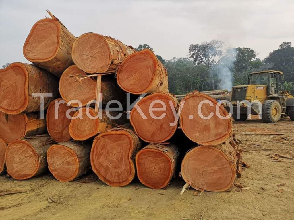 Tropical Round Hardwood Timber Logs