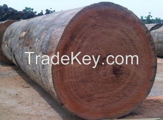 Mahogany Timber Hardwood Logs